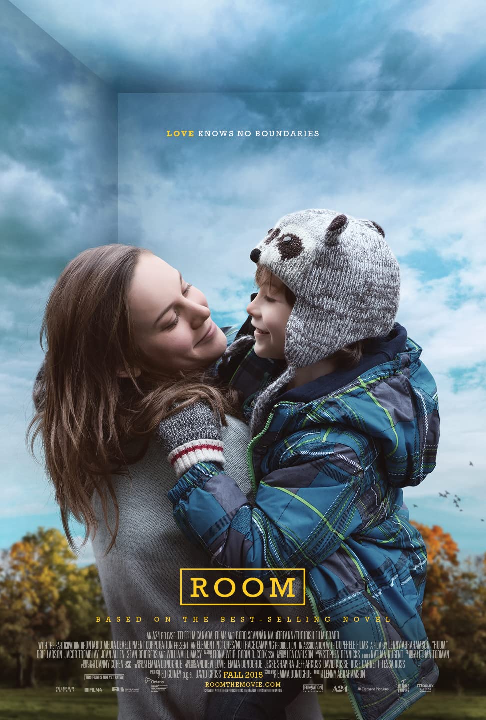 Download Room (2015) Dual Audio {Hindi ORG+English} BluRay ESubs 1080p [2.7GB] | 720p | [900MB] | 480p [500MB] download