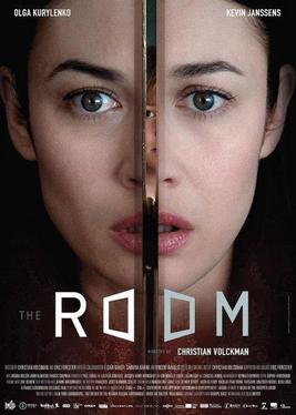 Download The Room (2019) Dual Audio {Hindi ORG-English} 1080p [2GB] | 720p [850MB] | 480p [300MB] download