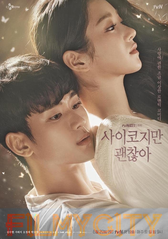 Download It’s Okay to Not Be Okay  (Season 1) Dual Audio {Hindi-Korean} Web Series ESubs 720p WEB-DL download