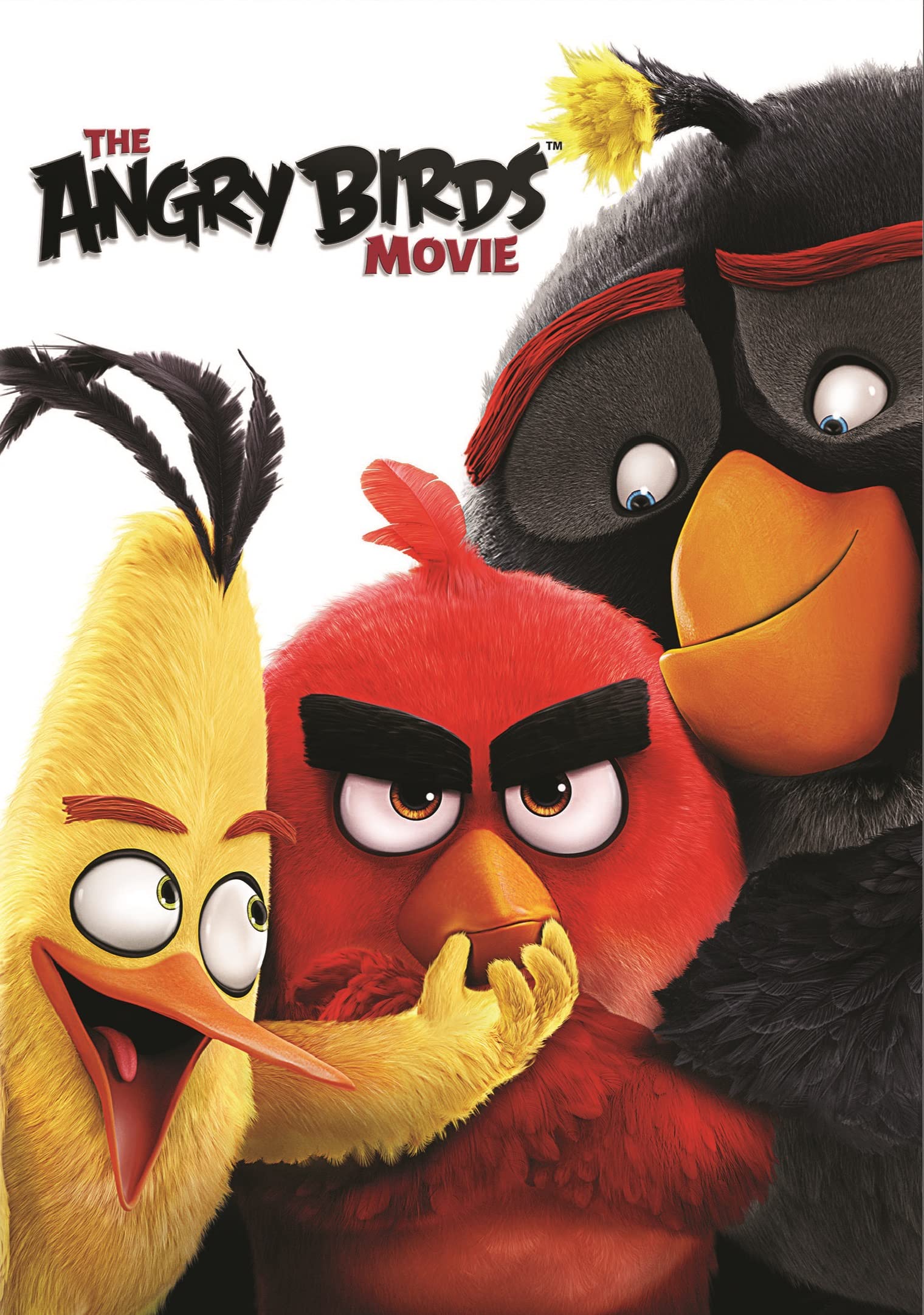 Download The Angry Birds (2016) Dual Audio {Hindi ORG+English} BluRay 1080p | 720p | 480p [500MB] download