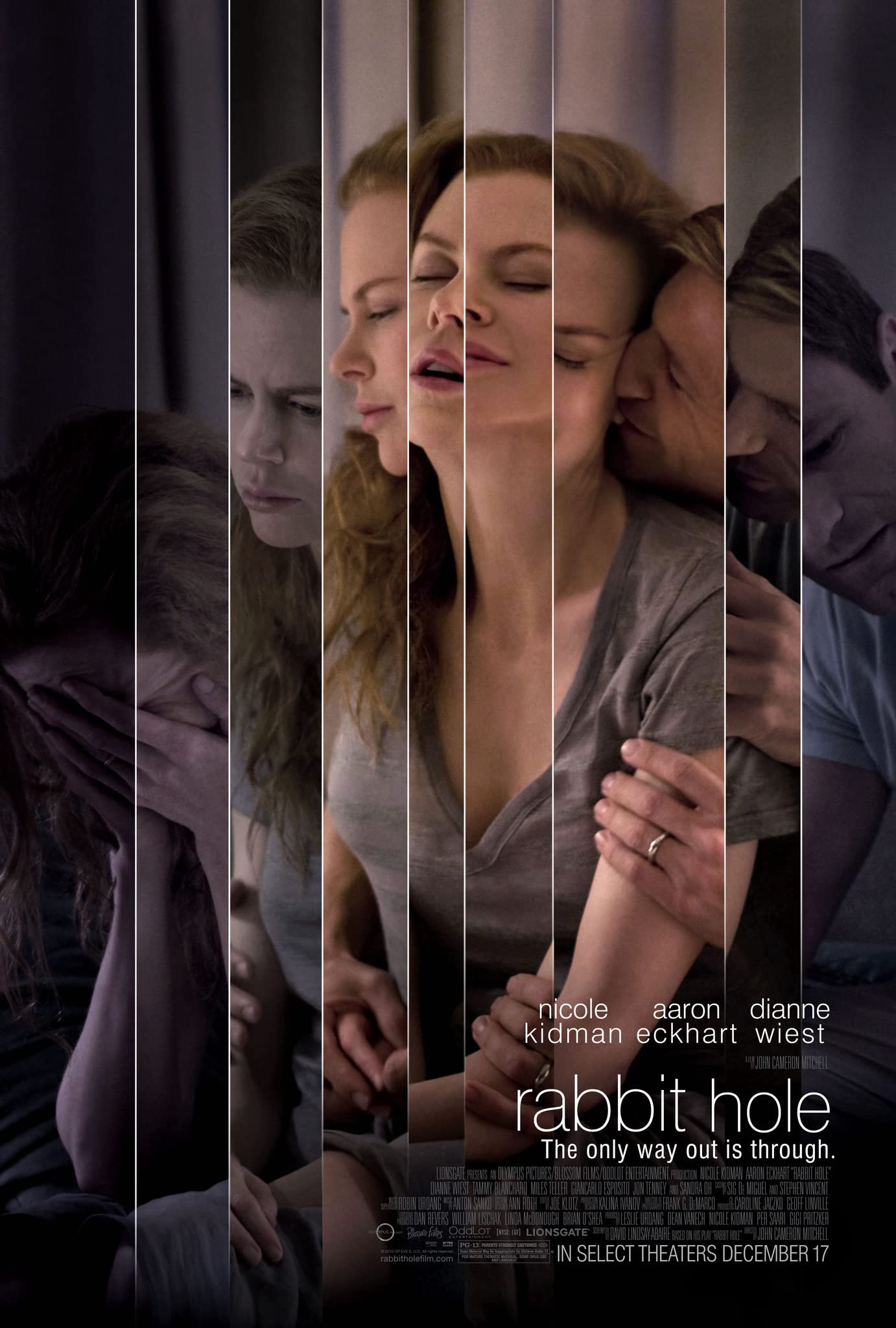 Download Rabbit Hole (2010) Dual Audio {Hindi ORG+English} BluRay 1080p | 720p | 480p [300MB] download