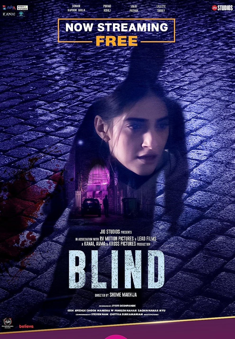 Download Blind (2023) Hindi JC HDRip Full Movie 1080p | 720p | 480p [350MB] download