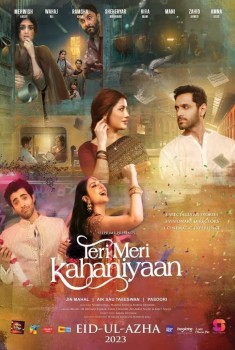 Download Teri Meri Kahaniyaan 2023 WEB-DL Urdu 1080p | 720p | 480p [400MB] download