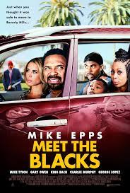 Download Meet the Blacks 2016 BluRay Dual Audio Hindi ORG 1080p | 720p | 480p [350MB] download