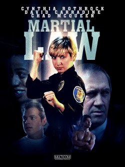 Download Martial Law 1990 BluRay Dual Audio Hindi 1080p | 720p | 480p [500MB] download