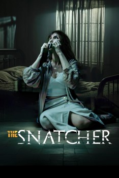 Download The Snatcher 2024 WEBRip 1XBET Voice Over 720p download