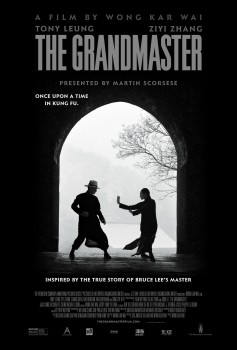 Download The Grandmaster (2013) WEB-DL MULTi-Audio Hindi 1080p | 720p | 480p [450MB] Full-Movie download