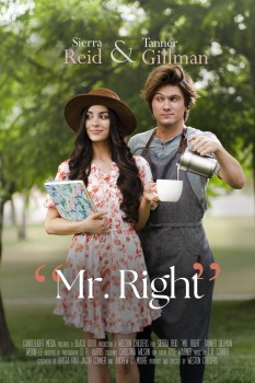 Download Mr Right (2023) WEBRip 1XBET Voice Over 720p download