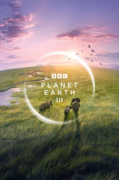 Download Planet Earth III (Season 3) Hindi ORG Dubbed Web Series WEB-DL 720p | 480p [1.1GB] download