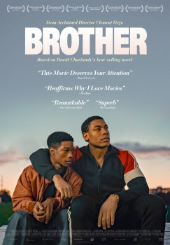 Download Brothers (2022) Dual Audio {Hindi ORG+Chinese} HDRip 1080p | 720p | 480p [450MB] download