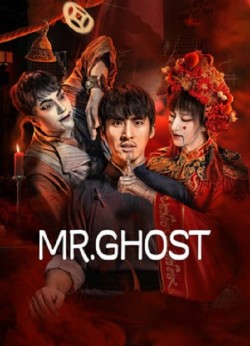 Download Mr. Ghost (2023) Dual Audio {Hindi ORG+English} HDRip 1080p | 720p | 480p [450MB] download