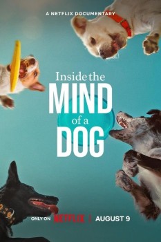 Download Inside the Mind of a Dog (2024) Dual Audio {Hindi ORG+English} BluRay 1080p | 720p | 480p [240MB] download