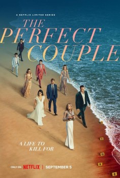 Download The Perfect Couple (Season 1) Complete Hindi ORG Dubbed Web Series Netflix WEB-DL 1080p | 720p | 480p [950MB] download