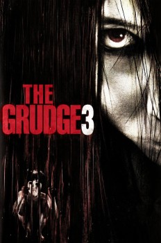 Download The Grudge 3 (2006) UNCUT Dual Audio {Hindi ORG+English} BluRay 1080p | 720p | 480p [350MB] download